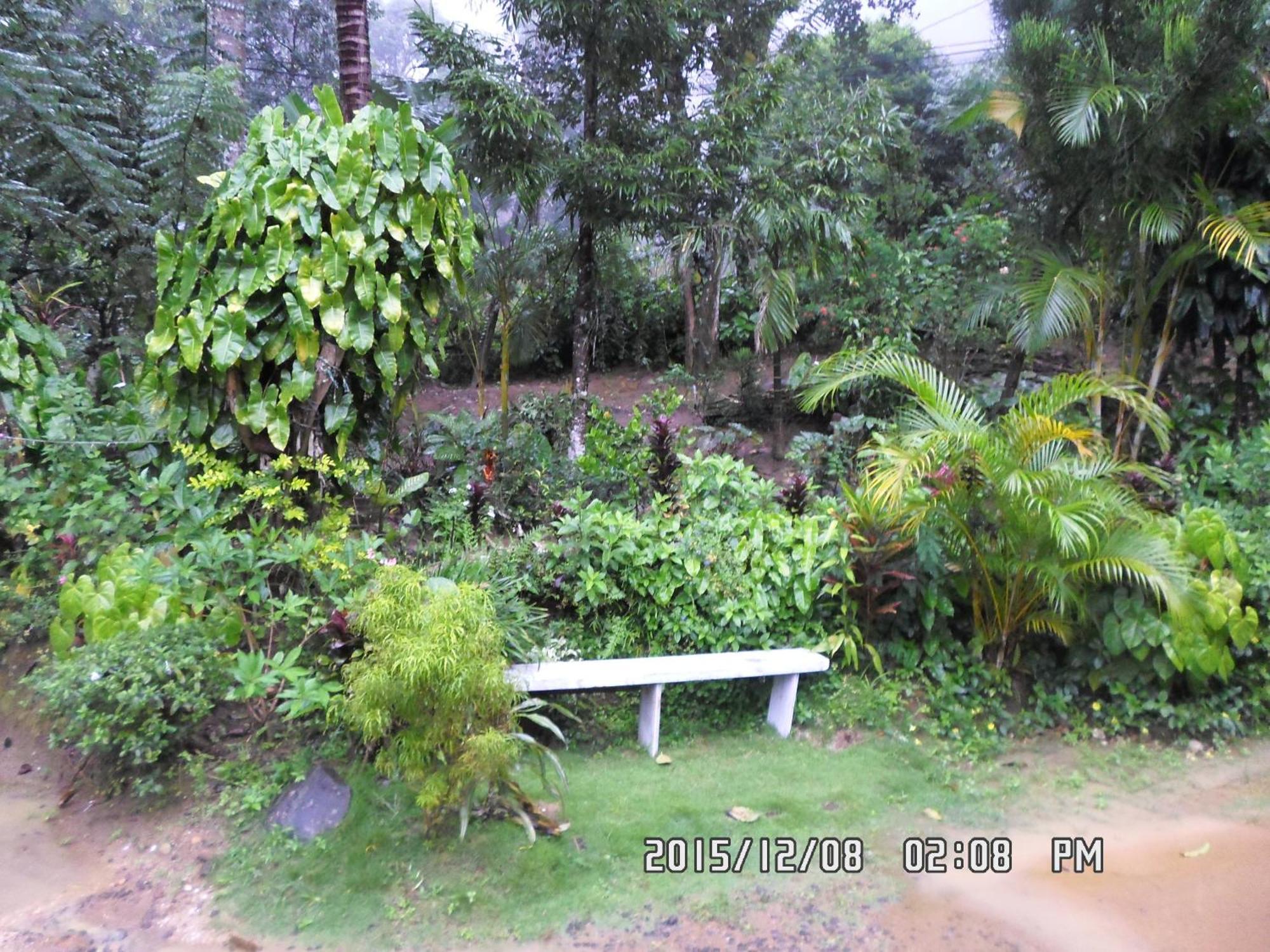 Peters Inn Ella Phòng bức ảnh